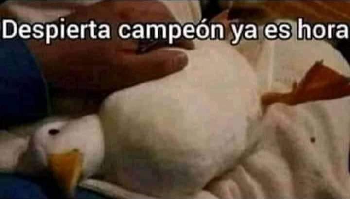 _Cris_Rodriguez's tweet photo. Yo después de tres horas sin redes: #facebookdown https://t.co/ExVlLLogI1
