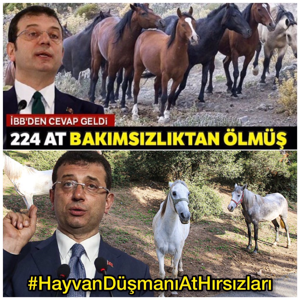 İBB sorumluluğunda bulunan Adalar’daki atlara ilişkin ortaya çıkan görüntüler ise adeta kan dondurdu. İBB sorumluluğundaki atların pislik içerisinde kaldığı ve bakımsızlıktan öldüğü öğrenildi. 
#HayvanDüşmanıAtHırsızları