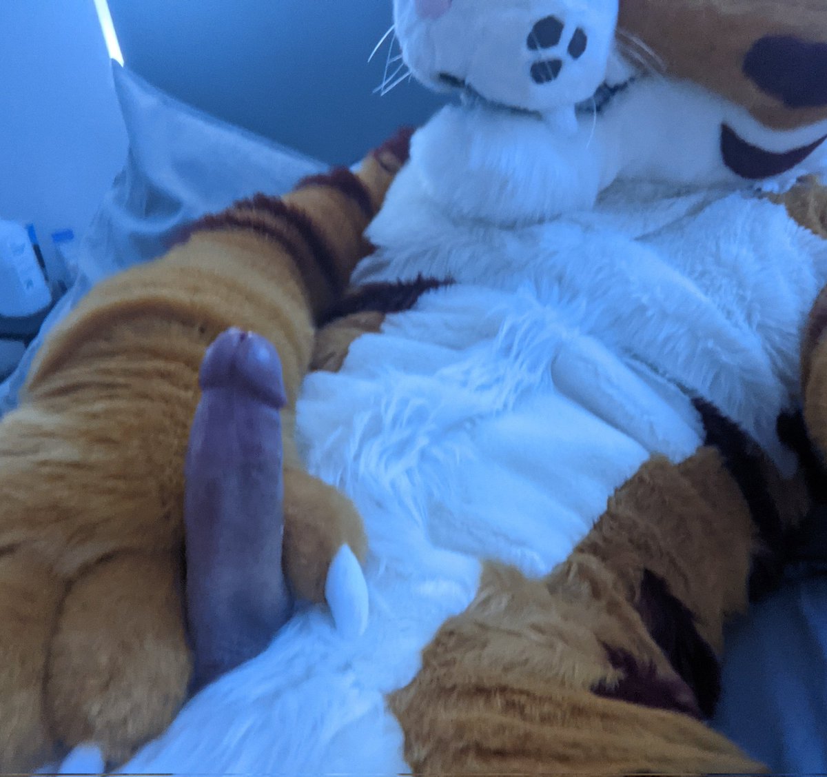 JackTigerFuzz's tweet photo. Muzzle or tail, I let you choose😘 https://t.co/XeNrluTxQs