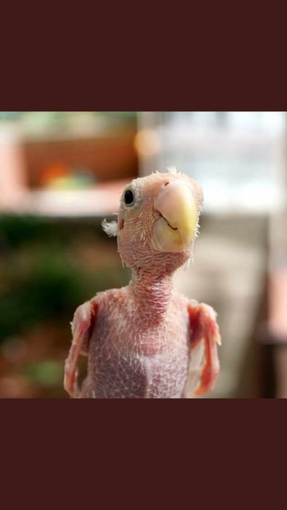 xperia014's tweet image. Mark feeling what I felt when he suspended my account...😂
#WhatsApp
#facebookwhistleblower 
#Facebook 
#instagramdown 
#instagramdisabled