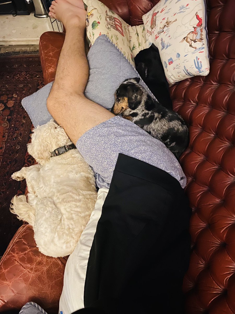 Instagram is still down, so I guess I’ll just post this here…