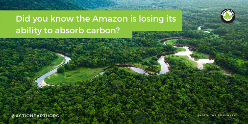 ActionEarthorg's tweet photo. Whereas the Amazon used to be a carbon sink, some areas are now emitting more than they are absorbing due to deforestation, degradation, and the effects of climate change like wildfires and droughts according to a study by NASA. 😱 #actionforearth #AmazonRainforestDay #Amazon https://t.co/pcqGDvwgrW