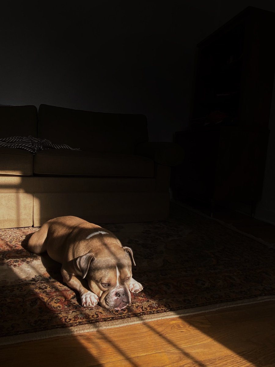 Peter Lopez tweet media