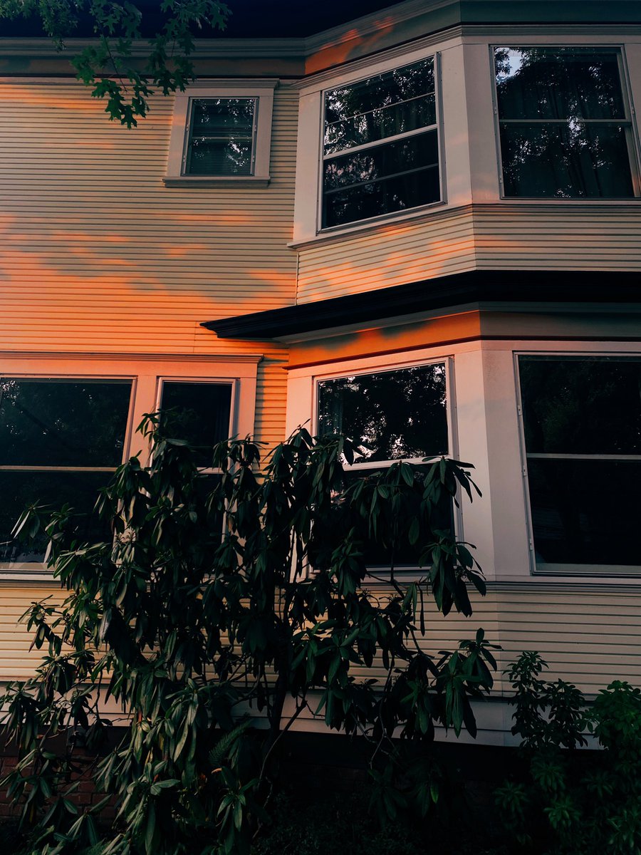 Peter Lopez tweet media