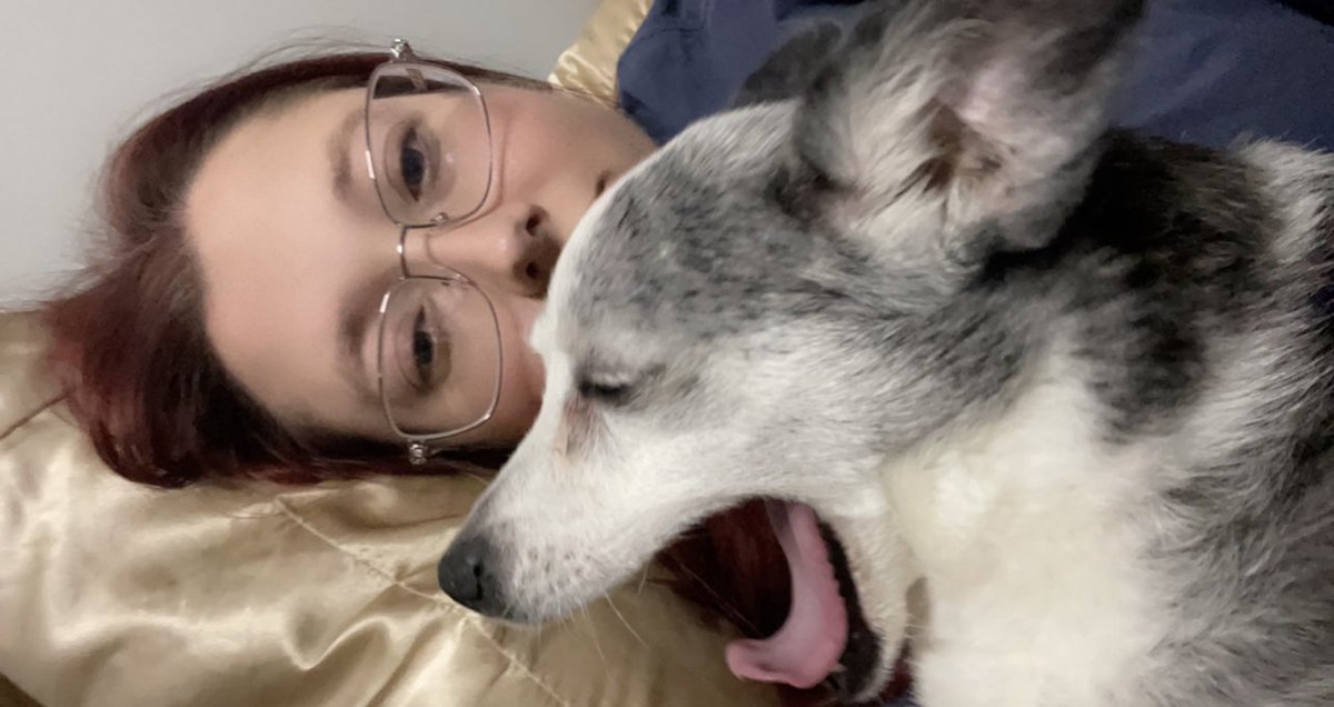 gypseaaaa's tweet photo. @grumpyshrubbery 10/10 yawn https://t.co/WNMzHmo5Zu