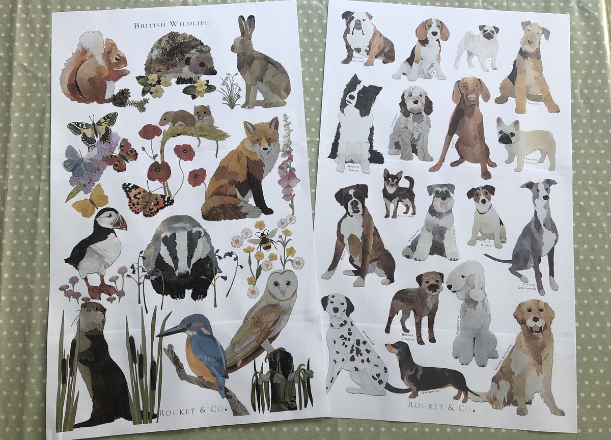 _rocketandco's tweet photo. Finally finished a couple of new tea towel designs today…can’t wait to send to print! They’ve been a long time in the making!! Each animal/dog was created as an original artwork out of the pages of old children’s books #PaperCutArtist #TauntonHour #ArtistOnTwitter https://t.co/dX04LHHGQH