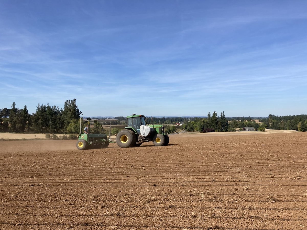 MtnView_Seeds's tweet photo. 2021 perennial ryegrass planting is in full swing #perennialryegrass #fastball3GL #blackpearl https://t.co/yXteTRJEzx