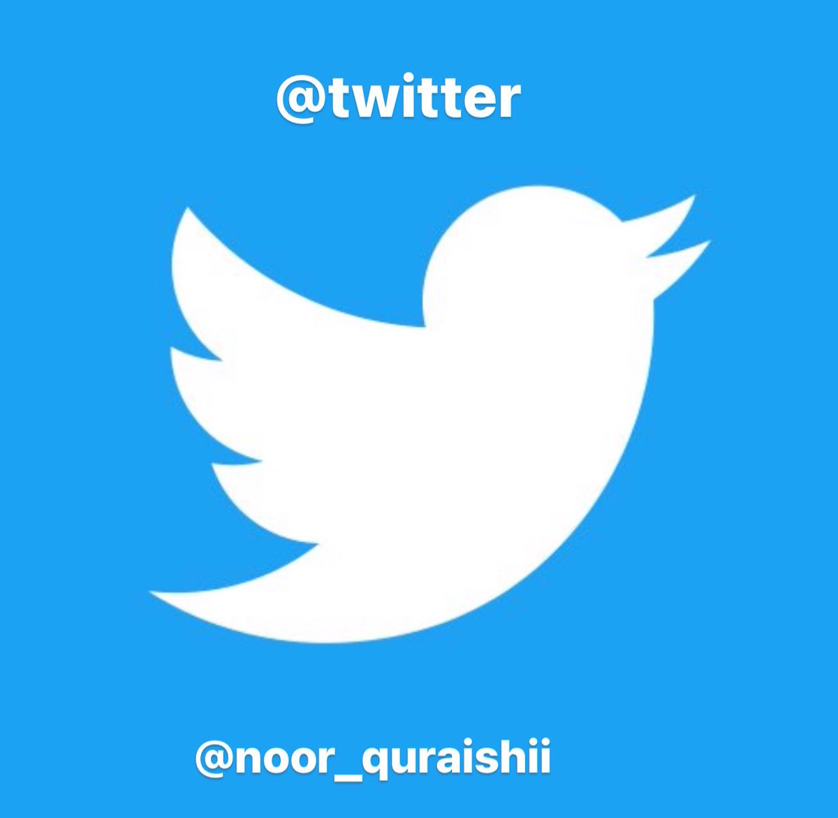 noor_quraishii's tweet photo. راځئ د یو بل ټوېټ ریټویټ کړو او یو بل فالو کړو 
ټوېټر تر ټولو غوره رسنۍ ده.

ملګرو ریټویټ وکړئ چې سره تعقیب کړو @noor_quraishii https://t.co/72EKolcTxq