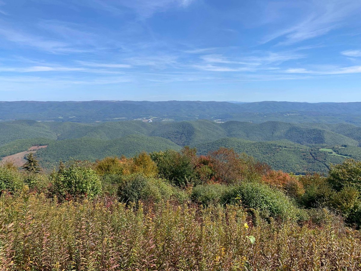A blanket of color is beginning to cover the mountains surrounding the railroad. Currently, the best change can be see along the higher elevations near Bald Knob. During the next couple of weeks, the lower elevations around Whittaker and Cass will begin to come alive. 🍂🚂