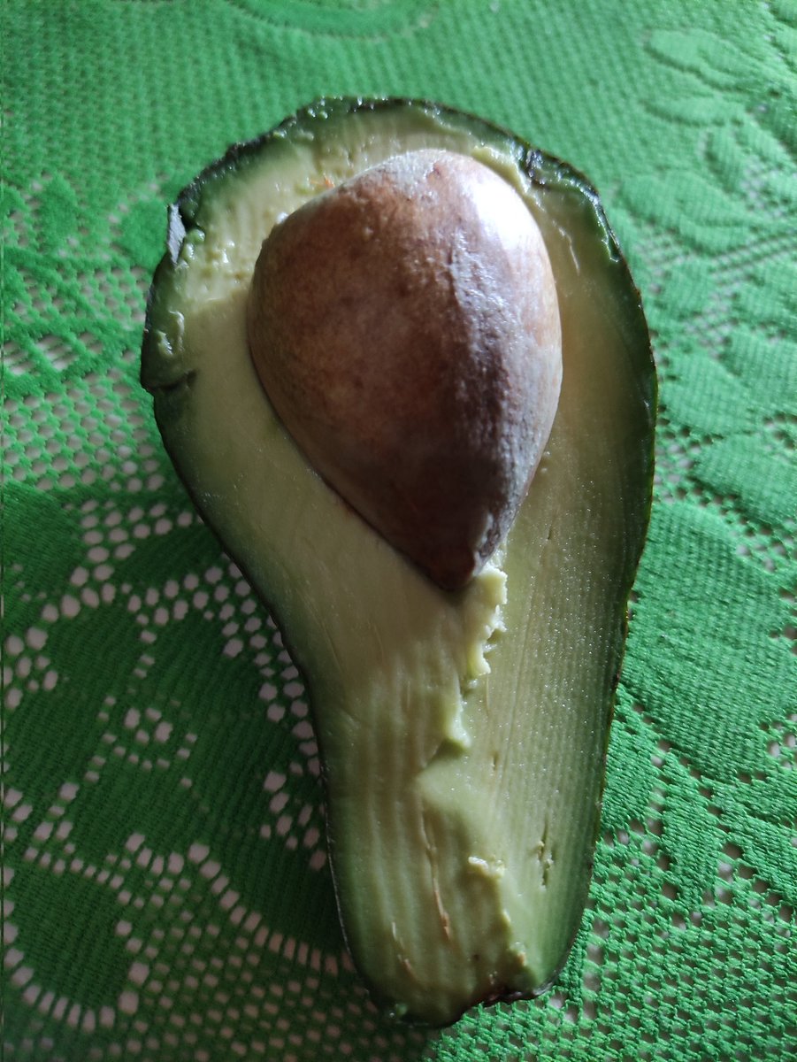 DolmoRobles's tweet photo. Que palta 🥑 con el WhatsApp https://t.co/hlZ5miigjj