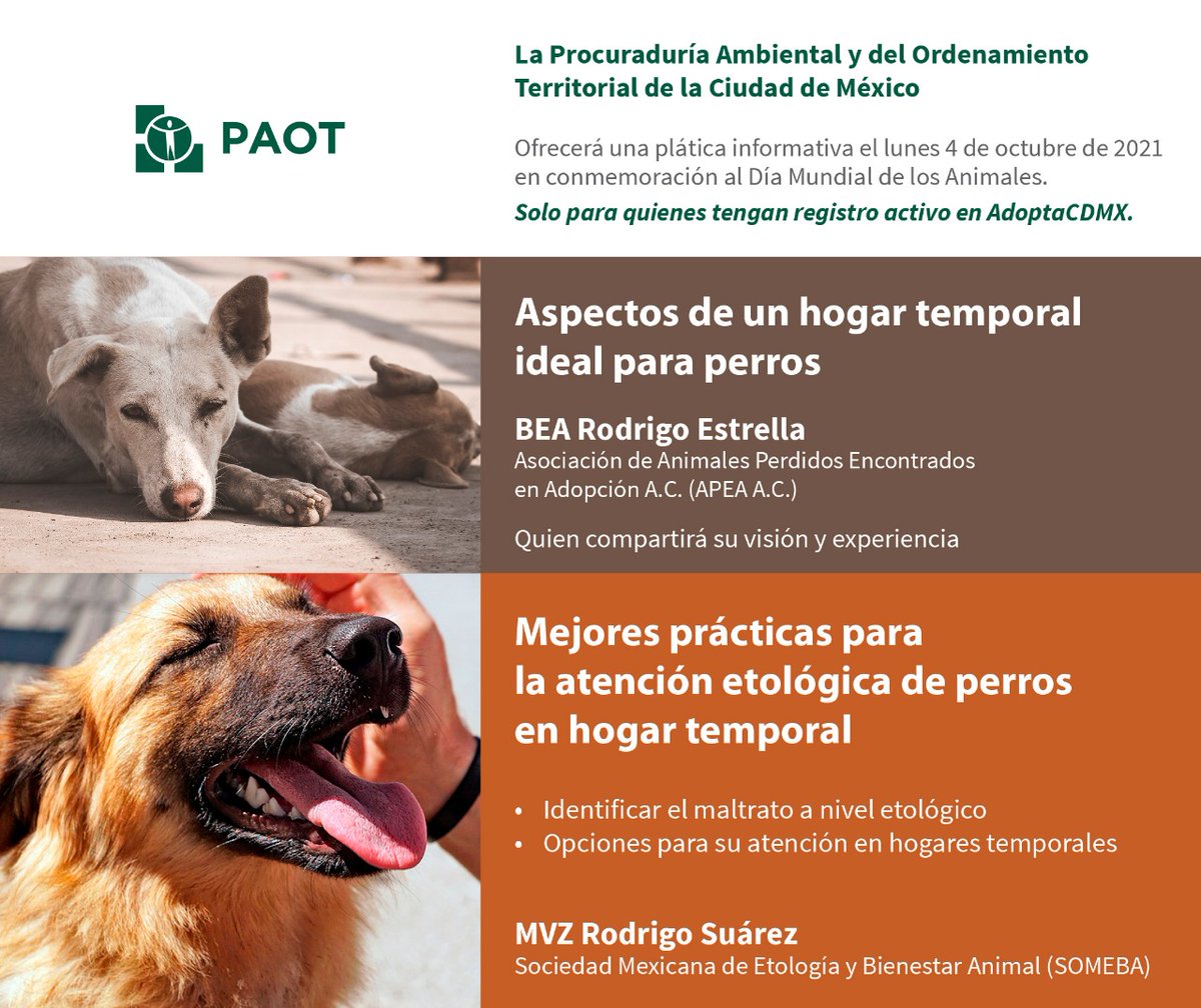 AdoptaCDMX's tweet photo. #QueNoSeTePase En el marco del #DiaMundialDeLosAnimales  especialistas en comportamiento animal ofrecerán a las protectoras registradas en #AdoptaCDMX , una conferencia sobre la atención que deben recibir los 🐶🐕rescatados durante su estancia en 🏡 temporal,  

#DíaDeLosAnimales https://t.co/oI4qMBrRjd