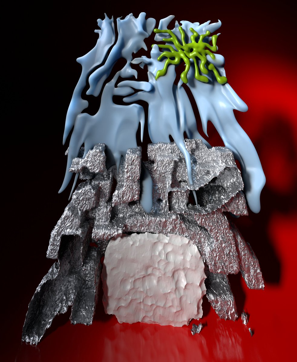 Diego Diapolo tweet media