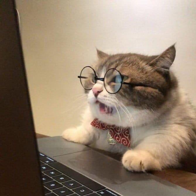 PaddockGirl_44's tweet photo. Facebook users on twitter wondering why the composition they're typing to post is suddenly turning pink https://t.co/KlAtHkz8Dh