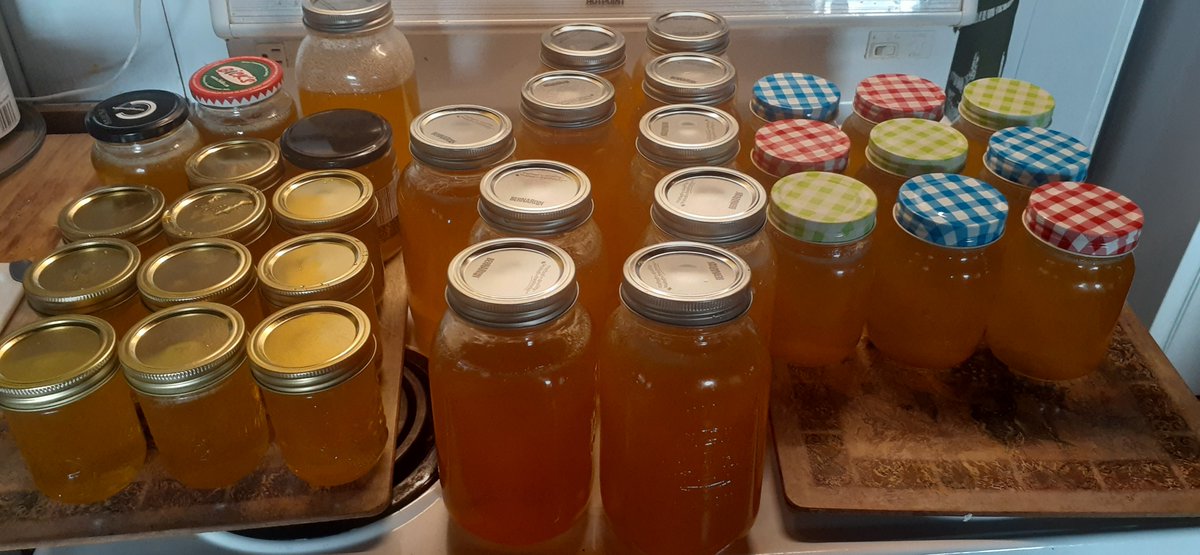 BacktoRealityNS's tweet photo. Thank you bees.  
#liquidgold #xmasgifts #55+lbs 
#honeybees #novascotia #honeycomb https://t.co/2gGf37rufJ