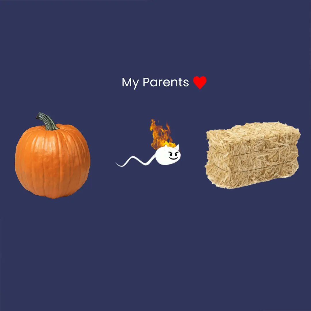 Stanley_Straw's tweet photo. "Family is not an important thing. It's everything." -Michael J. Fox

#brooklynhalloween #halloween #12ftskeleton #12footskeleton #infernopumpkin #scarecrow #greenpoint #greenpointscarecrow https://t.co/4k9frlxmdM