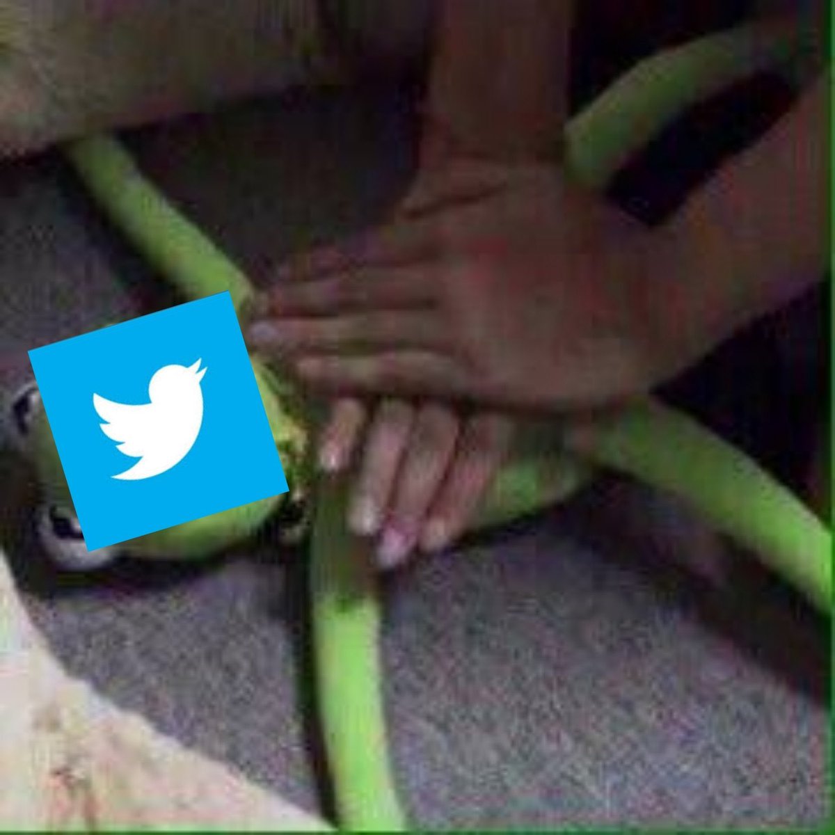 Twitter, reacciona! No te vayas tú también