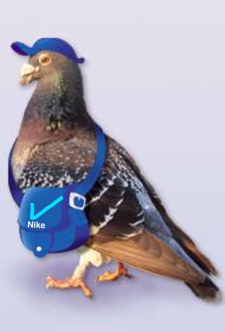 TNTSportsBR tweet picture