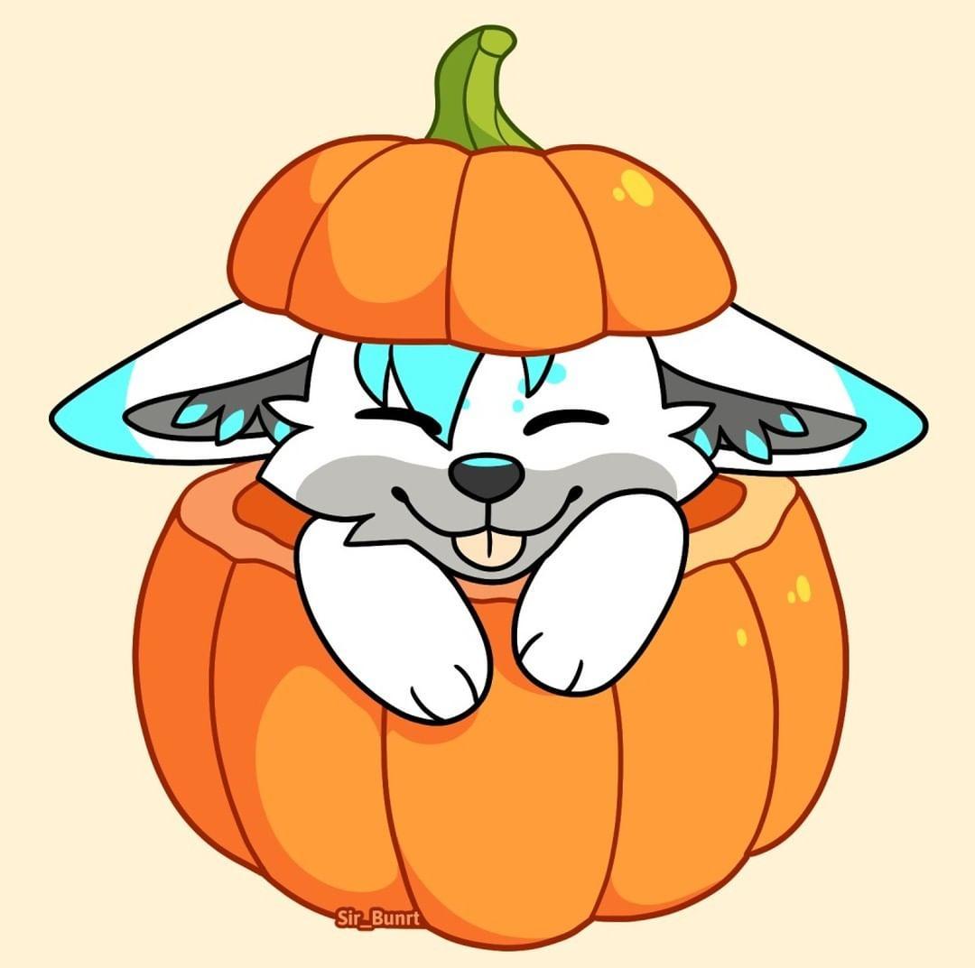 bwoppycat's tweet photo. https://t.co/WlYmfajj9U