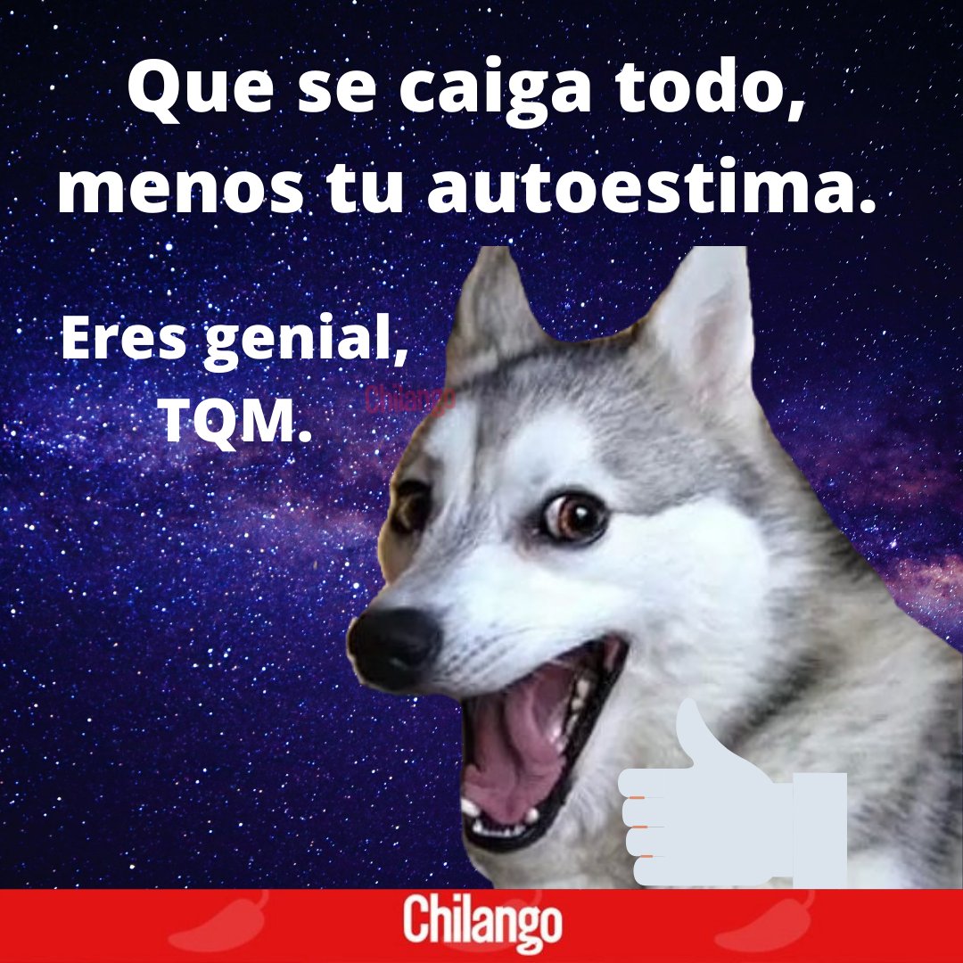 ChilangoCom's tweet photo. No importa que se caiga #Facebook, #Instagram y #WhatsApp, los amigos son amigos para siempre y por siempre 🎶 🤜🤛 https://t.co/VKZpOZn8s8