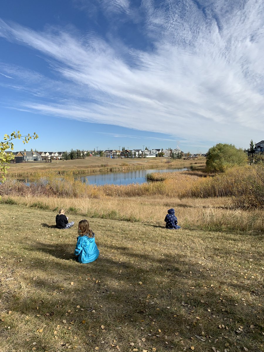 AngelaDepner's tweet photo. Making the most of beautiful fall weather, observing frost on leaves and visiting our sit spots @Copperfield106 @Rebecca_Thouin #thirdgradethunder #wearecbe https://t.co/TsXx17tnoL