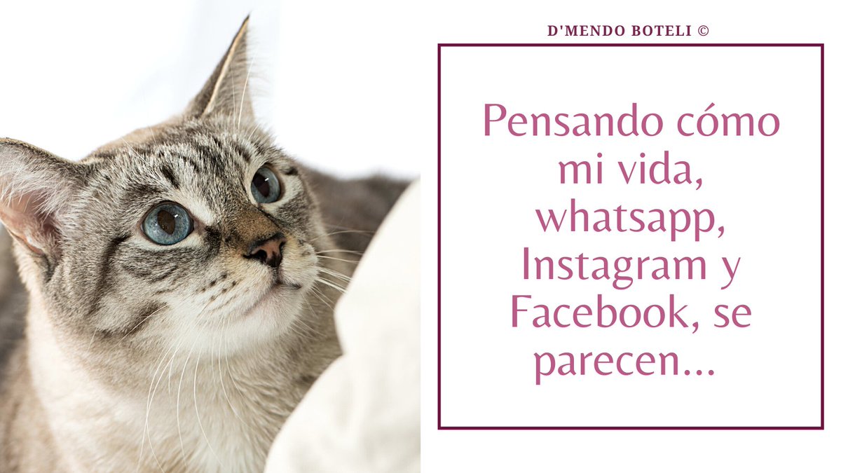 DmendoB's tweet photo. Pfff... https://t.co/j21Rb16RYX