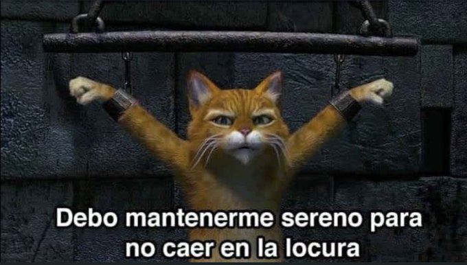 gatorockero25's tweet photo. Yo después de ver que ya vamos 4 horas sin Facebook, Whatsapp, Instagram y ahora está fallando telegram, Netflix, Twitter....#RedesSociales...!!! https://t.co/hyELgAuVt2