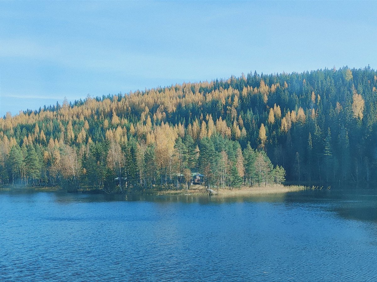 luigipuno's tweet photo. Finland is such a serene place - pretty fucking glad I chose to come here for exchange semester, it's completely different to anywhere I've ever been https://t.co/bJNgwTG98D