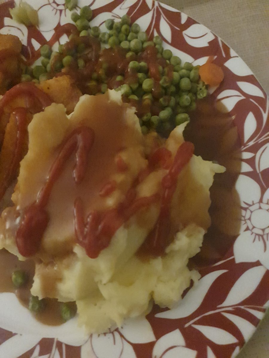 cheesinator6's tweet photo. Ketchup+gravy=happy sam https://t.co/CRNDC5L36n