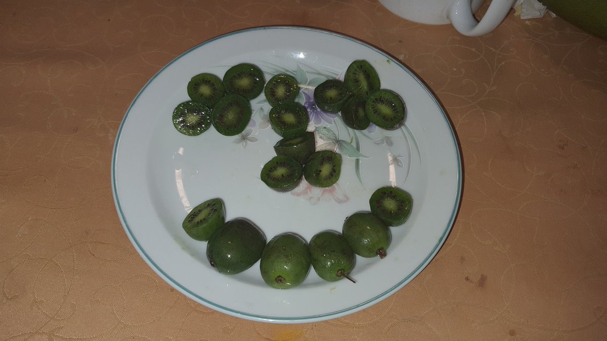 Mini kiwi. Manis rasanya