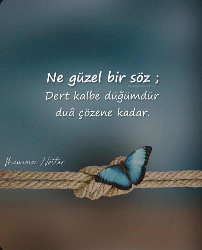 GonulErkol's tweet photo. Düşüncen..Konuşmana
Konuşman ...hareketine
Hareketin..kaderine yansır..
Güzel düşün..Güzel yaşa..

#çökmüş https://t.co/nHaQ8OFs8I