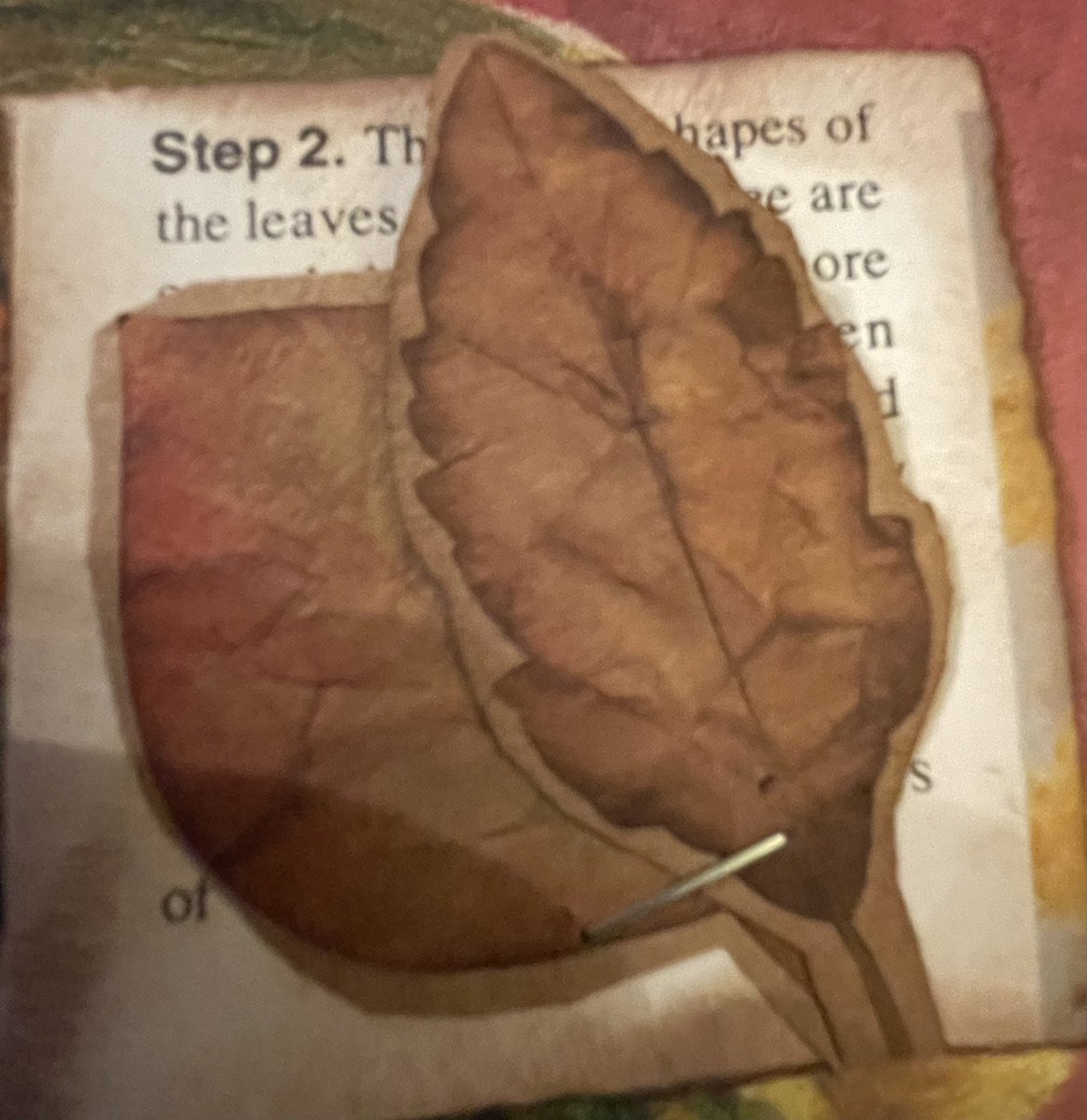 PW_Creations's tweet photo. #junkjournal makes #autumnvibes #autumn #junk #journal #recycling https://t.co/qpjO95P2mW