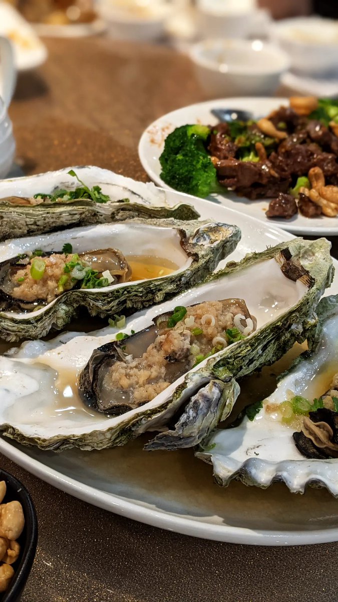 Since I can't post on Instagram, here's a picture of some oysters I ate last week. #instagramdisabled #instadown #instagram