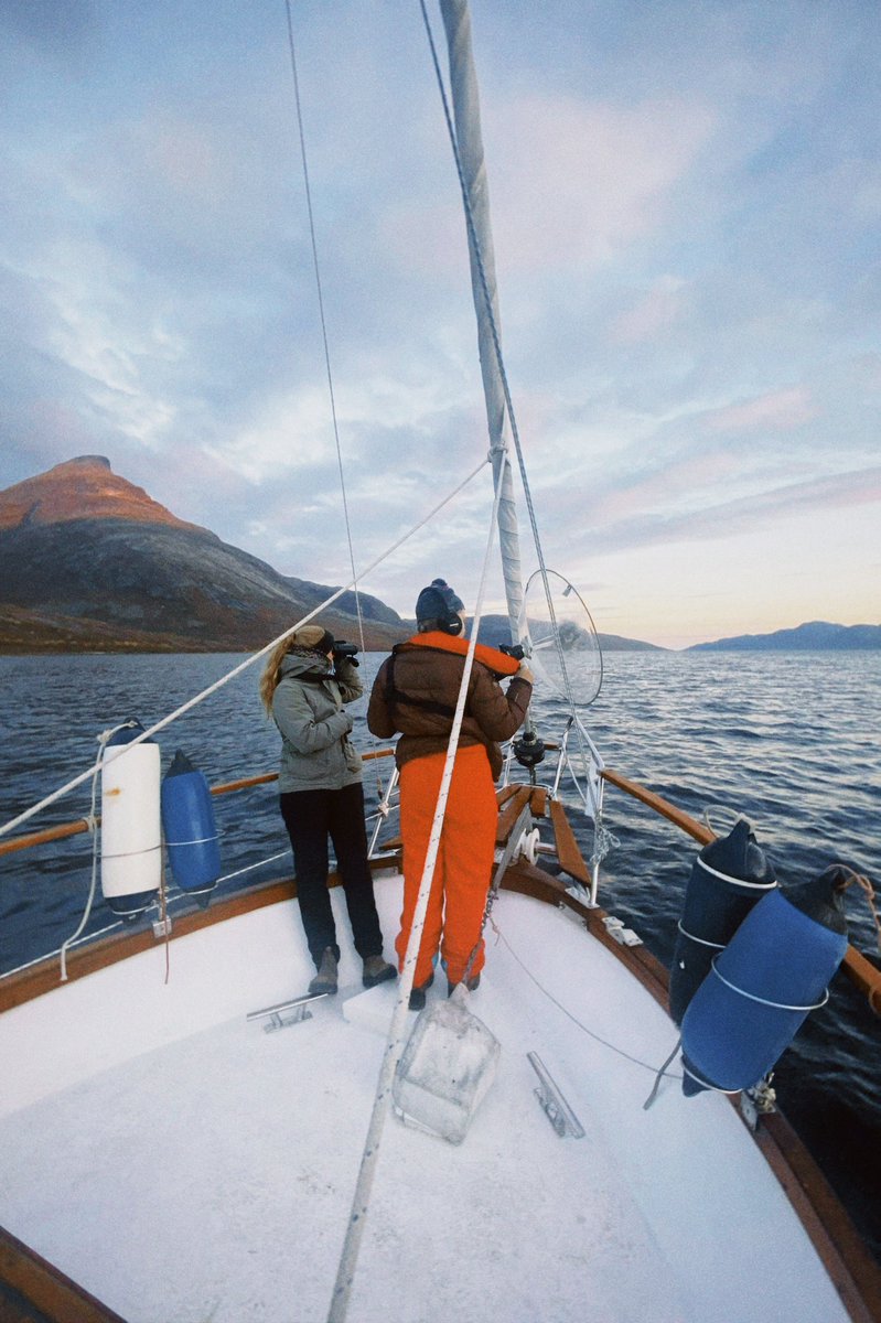 Saskia Cathrin Tyarks (Martin) tweet media