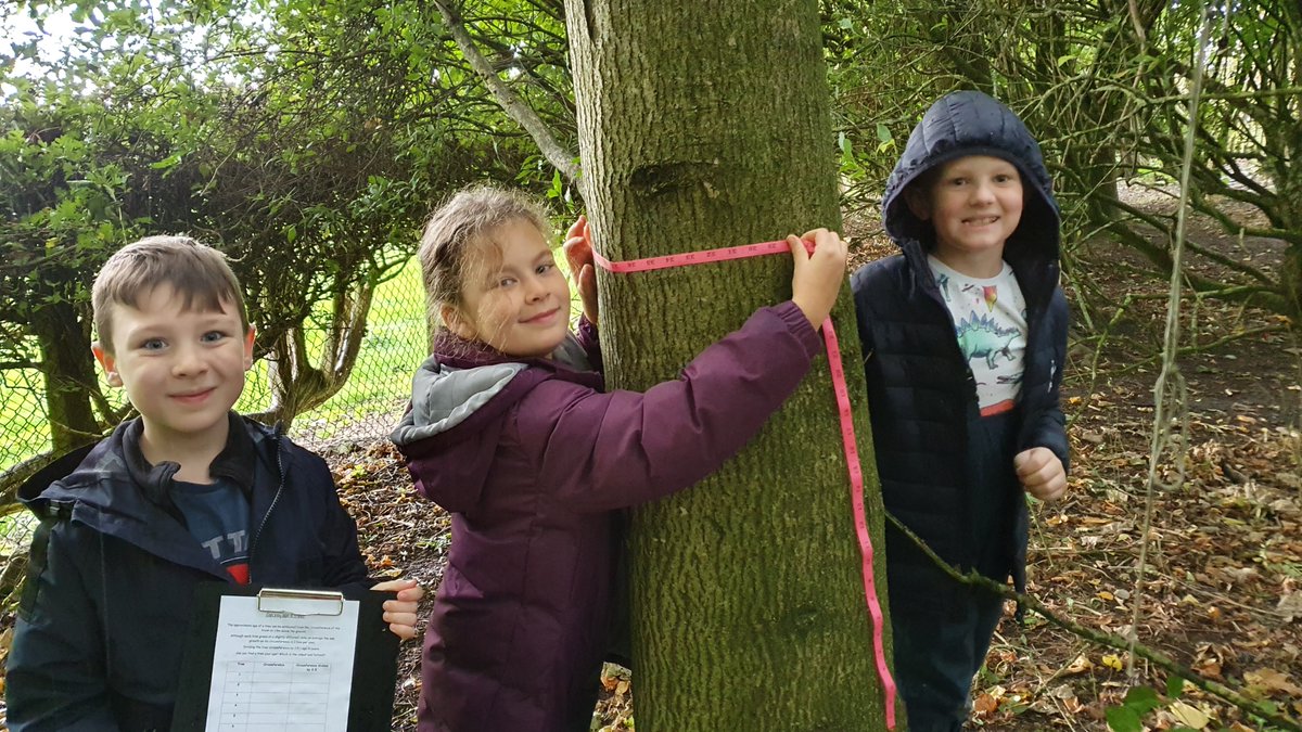 rhoshelygschool's tweet photo. Today Year 3/4 have been using their measuring skills in the woods to estimate the age of some of our trees! 🌳 #ambitiouscapablelearners #outdoorlearningfun https://t.co/zjfp2wYCgn