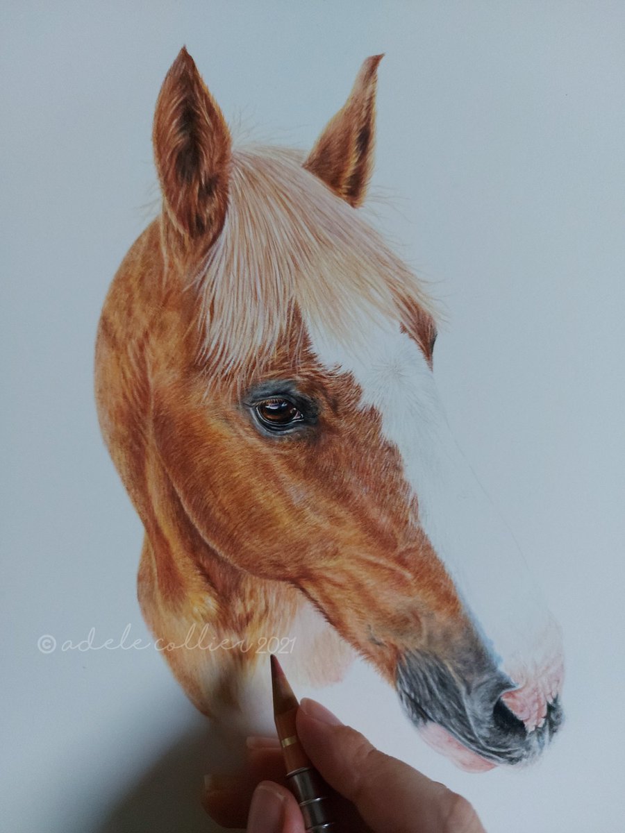 Adele Collier Artist tweet media