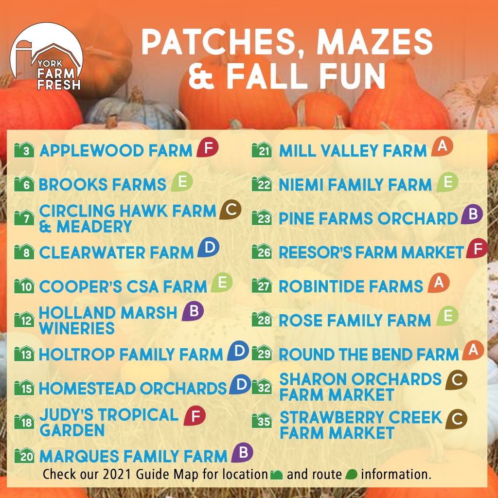 YorkFarmFresh's tweet image. Happy #ontagweek what better way to celebrate than enjoying some fall farm fun while picking up farm fresh items? 👨‍🌾👌🍁

yorkfarmfresh.com/post/patches-m…