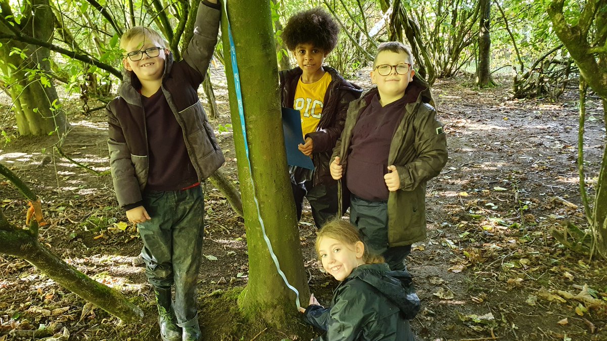 rhoshelygschool's tweet photo. Today Year 3/4 have been using their measuring skills in the woods to estimate the age of some of our trees! 🌳 #ambitiouscapablelearners #outdoorlearningfun https://t.co/24cmVozOdd