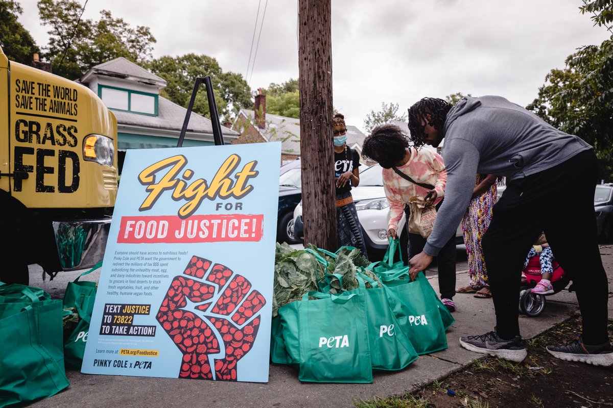 peta's tweet photo. Food deserts are disproportionately located in communities of color &amp; low-income neighborhoods.

That’s why PETA &amp; Slutty Vegan are giving away #vegan bratwurst, chicken sandwiches, &amp; vegan meal starter kits with fresh produce &amp; other healthy foods in a food desert in #Atlanta! https://t.co/jd4jtBK5s3