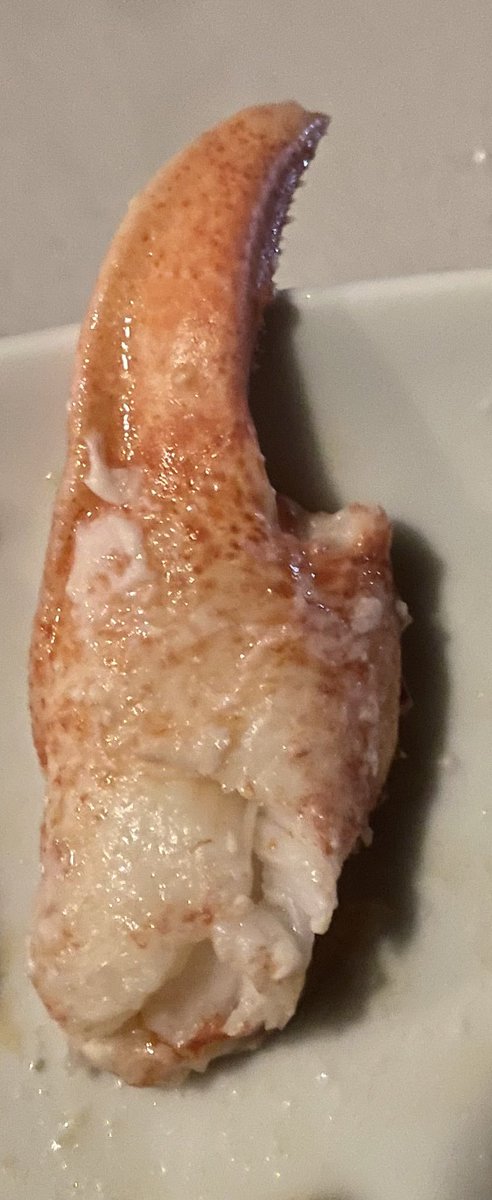 Backseatchef's tweet photo. Thank you @IntrepidVeggie for Cooking an amazing lobster, Pablo would have been proud, sorry only picture of the claw https://t.co/QRU9DpEbYl