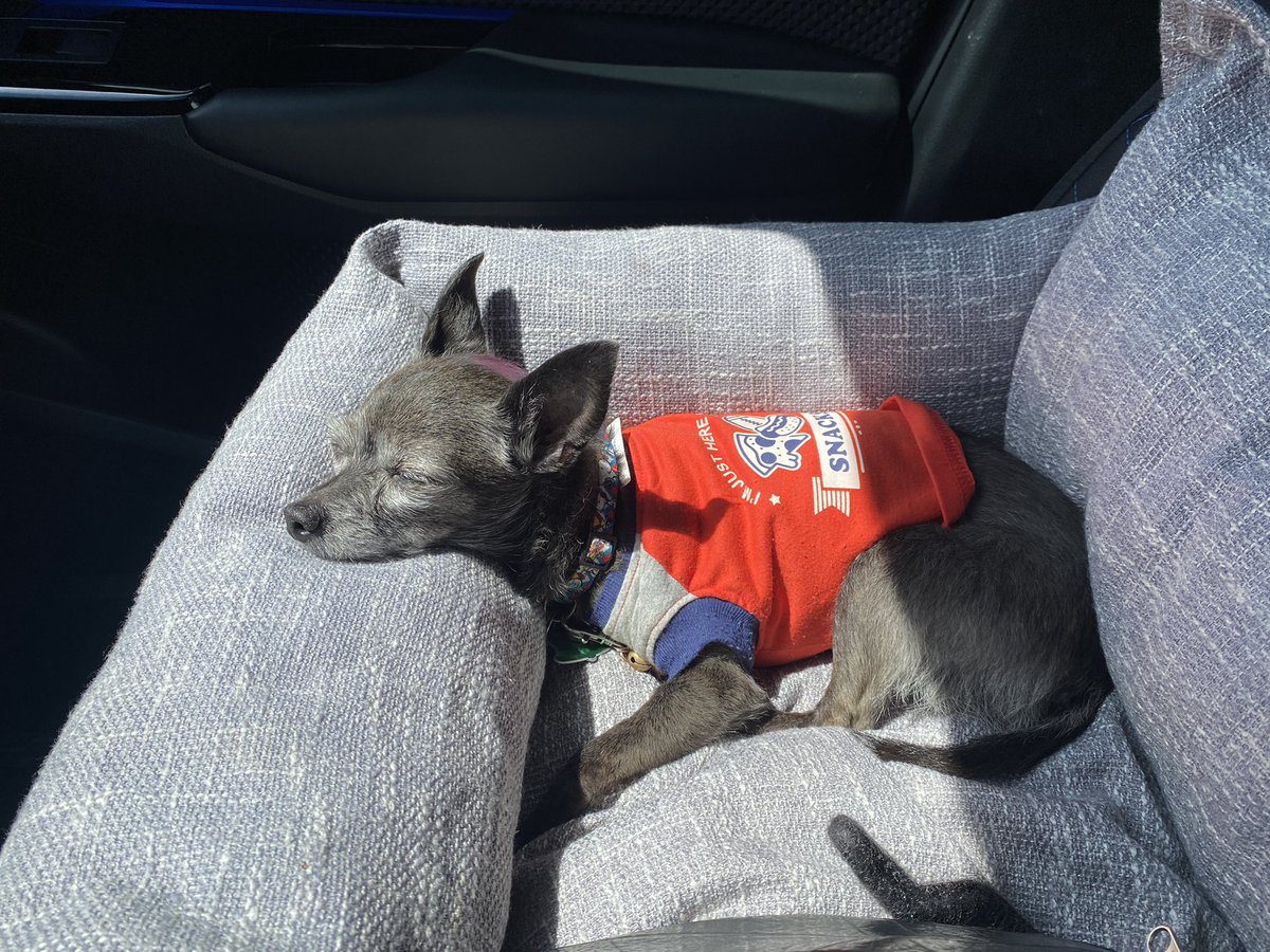 Sam Mazer tweet media