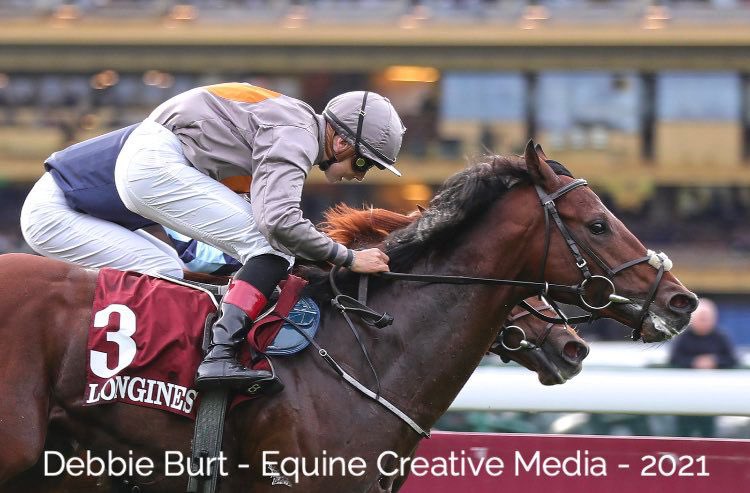 ado mc guinness tweet media