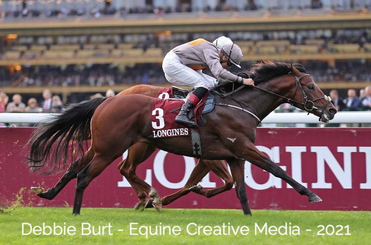 ado mc guinness tweet media