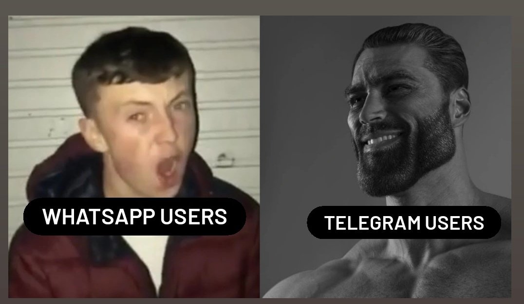 Cada vez que se cae whatsapp me acuerdo que telegram si promete, pero apenas vuelve lo mando pa la picha jajajaja