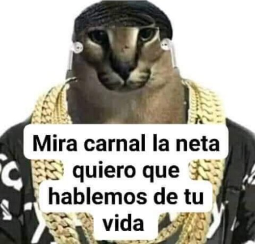 rsunny_'s tweet photo. #Anonymous después de leer todas mis conversaciones dónde hablo de mis crisis existenciales https://t.co/uBByM278p2