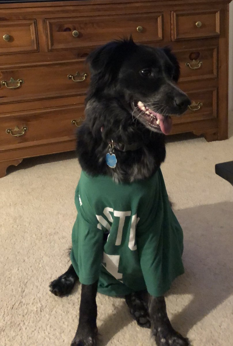 Rebecca Perlmutter tweet media