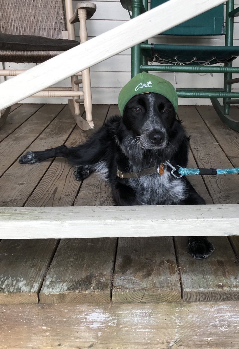 Rebecca Perlmutter tweet media