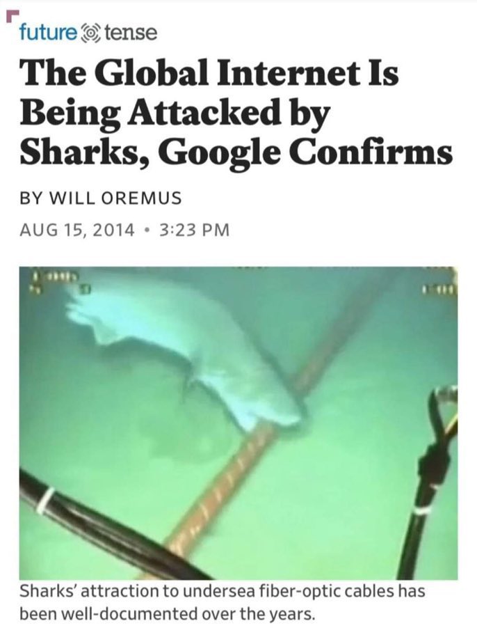 porliniers's tweet photo. Los responsables👇🦈 https://t.co/IBxuZQs2HL
