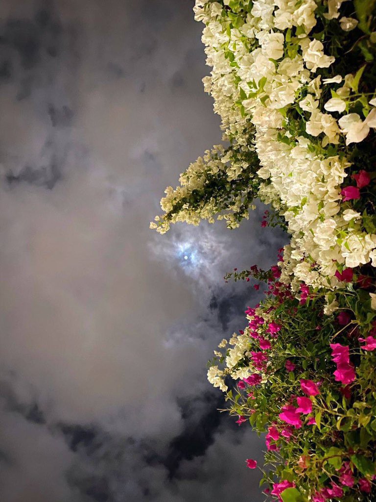 قمر وغيوم وزهور ❤️