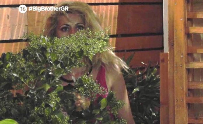 ▪️𝝮𝞀𝝰𝝸𝝾𝘀 𝝟𝝾𝝸𝝻𝞈𝝻𝝴𝝼𝝾𝘀▪️ tweet media