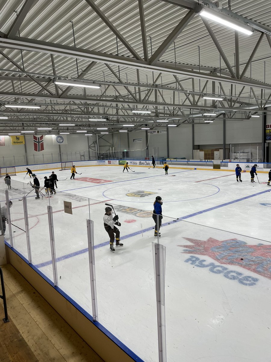 ThorleifArnesen's tweet photo. Skills camp for U12-U14 med @HRehnberg og @blaho_novak i Moss Ishall! 
@norskishockey https://t.co/I9HwVgXPW1
